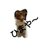 mother.s-love（個別スタンプ：30）