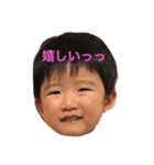 hikabou（個別スタンプ：1）