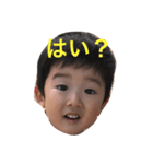 hikabou（個別スタンプ：6）