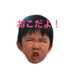 hikabou（個別スタンプ：7）