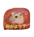 ハムチャンズの日常（個別スタンプ：2）