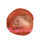 ハムチャンズの日常（個別スタンプ：4）