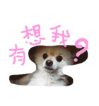 I'M FIFI ！（個別スタンプ：2）