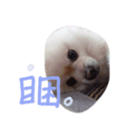I'M FIFI ！（個別スタンプ：3）