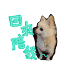 I'M FIFI ！（個別スタンプ：5）