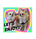 Friend's dogs！（個別スタンプ：2）
