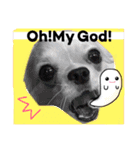 Friend's dogs！（個別スタンプ：11）