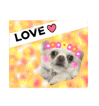 Friend's dogs！（個別スタンプ：18）