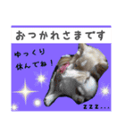 Friend's dogs！（個別スタンプ：20）