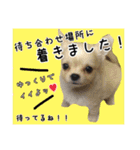 Friend's dogs！（個別スタンプ：22）