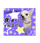 Friend's dogs！（個別スタンプ：29）