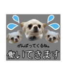 Friend's dogs！（個別スタンプ：32）