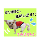 Friend's dogs！（個別スタンプ：35）