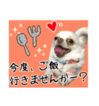 Friend's dogs！（個別スタンプ：40）