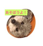 るんるんるかちゃんマイロ（個別スタンプ：4）
