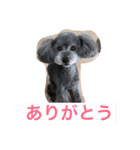 るんるんるかちゃんマイロ（個別スタンプ：7）