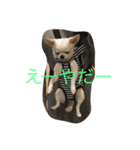 koharu326（個別スタンプ：5）