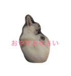 koharu326（個別スタンプ：7）