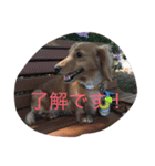 なあさんの気持ち（個別スタンプ：1）