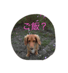 なあさんの気持ち（個別スタンプ：3）