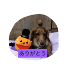 なあさんの気持ち（個別スタンプ：4）