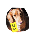 なあさんの気持ち（個別スタンプ：5）
