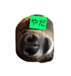 なあさんの気持ち（個別スタンプ：6）