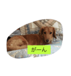 なあさんの気持ち（個別スタンプ：8）