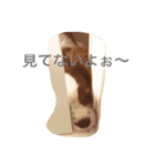 WILL cavalier2（個別スタンプ：7）