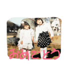 evryday cat's（個別スタンプ：24）