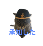 梅子と仲間たち（個別スタンプ：1）