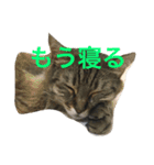 梅子と仲間たち（個別スタンプ：3）