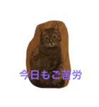 梅子と仲間たち（個別スタンプ：4）