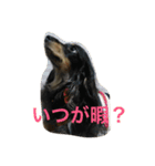 梅子と仲間たち（個別スタンプ：8）
