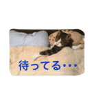 梅子と仲間たち（個別スタンプ：11）