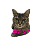 梅子と仲間たち（個別スタンプ：13）