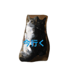 梅子と仲間たち（個別スタンプ：14）