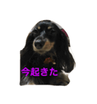梅子と仲間たち（個別スタンプ：16）
