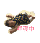 happyday's（個別スタンプ：5）