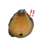 Chachairo（個別スタンプ：6）