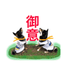 黒柴ケンシロウand黒柴レオ（個別スタンプ：1）