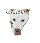 まさるとまいにち（個別スタンプ：2）