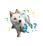 まさるとまいにち（個別スタンプ：4）