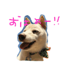 まさるとまいにち（個別スタンプ：5）