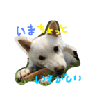まさるとまいにち（個別スタンプ：13）