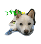 まさるとまいにち（個別スタンプ：17）