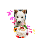 まさるとまいにち（個別スタンプ：20）