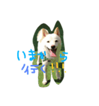 まさるとまいにち（個別スタンプ：23）