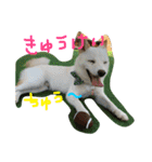 まさるとまいにち（個別スタンプ：31）