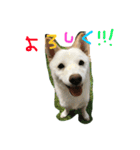 まさるとまいにち（個別スタンプ：33）